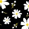 Delightful Daisies