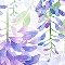 When in Wisteria - Spectrum Prints