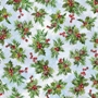 Christmas Spectrum Digitals