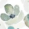  Enchanted Florals