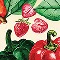Farmers Market