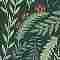 Frond of You