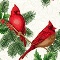 Christmas Splendor