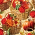 Harvest Beauty