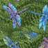 Dragonfly Wonder