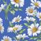Daisies