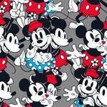Mickey Minnie Vintage Love Packed