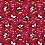 Love Mickey Minnie