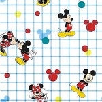 Mickey Minnie Grid