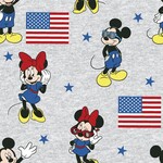 Mickey Minnie American Flag