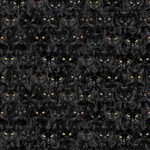TT-Cat-CD1831-Black
