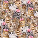 TT-Cat-CD3579-Natural-AreYouKittenMe