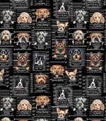 Tt-Gail-CD3888-Black-DogsRule