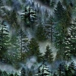 TT-Nature-CD3528 MistyMountain