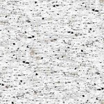 TT-Winter-CD1646 BirchBark