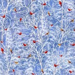 TT-Dona-CD3373-Winter