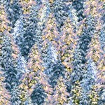 TT-Dona-CD3374-Icicle