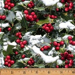 Hoff-X5563-161 Christmas