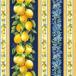 TT-Fruit-CD3443-Navy