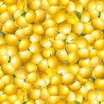 TT-Fruit-CD3445-Lemon