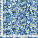 TT-Fruit-CD3447-Blue
