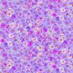TT-FLEUR-CD2586-PINK
