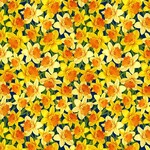 TT-Fleur-CD2437-Yellow