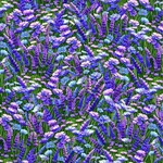 TT-Fleur-CD3724-Lavender-ForestBloom