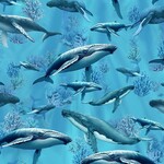TT-MICHAEL-CD4287-OCEAN-UnderwaterParadise
